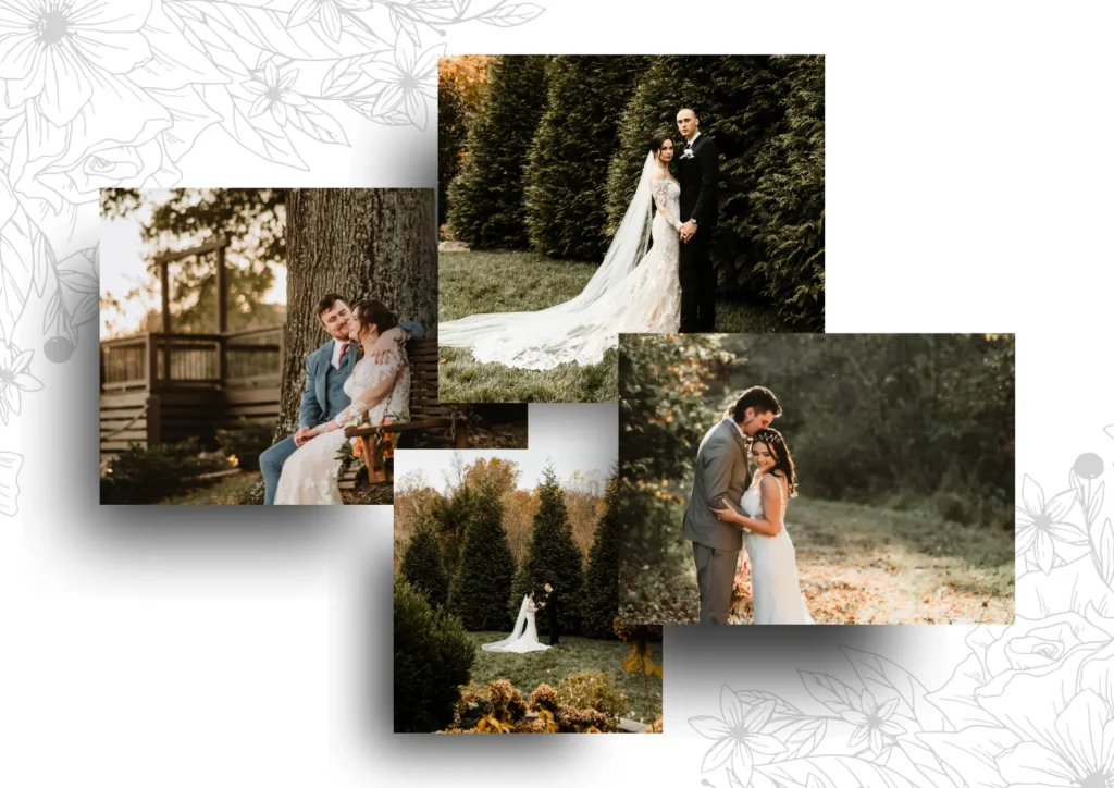 Tree lined pathway for golden hour photography 